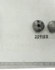 Click for 1 image(s) for this accession. FRUIT